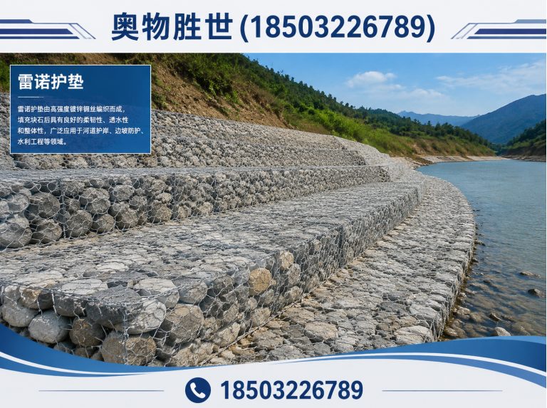 安庆雷诺护垫展示图